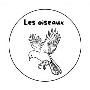 Le groupe des oiseaux