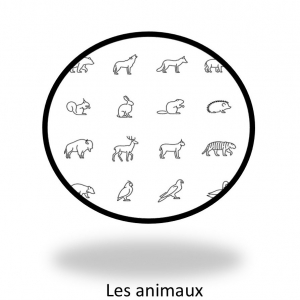 Le groupe des animaux